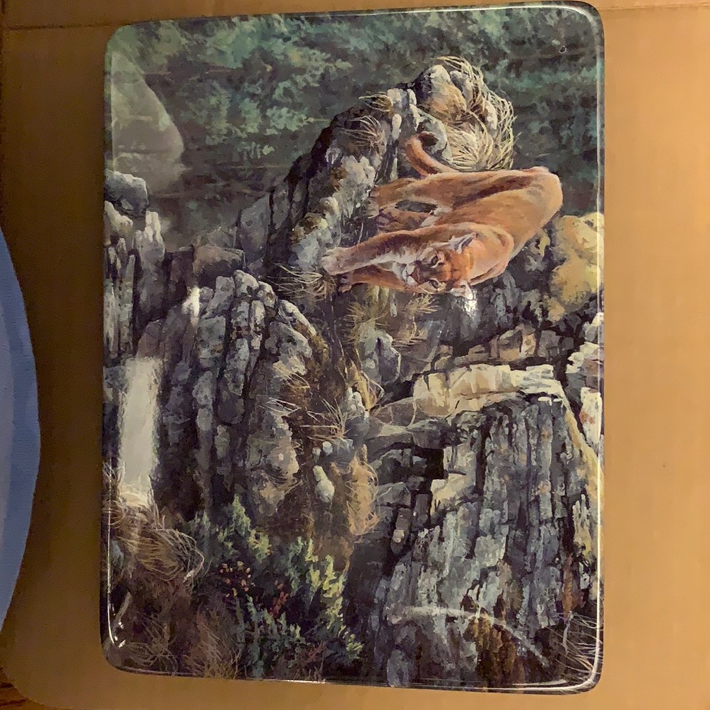 Bradford exchange collector plate